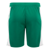 NOTTS Junior Away Shorts 2025-26
