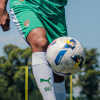 NOTTS Adult Away Shorts 2025-26