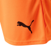 NOTTS Adult Away Goalkeeper Shorts 2025-26