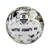 NOTTS Mini Football