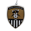 NOTTS Crest Tree Decoration