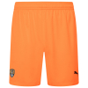 NOTTS Adult Away Goalkeeper Shorts 2025-26