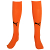 NOTTS Adult Away Goalkeeper Socks 2025-26